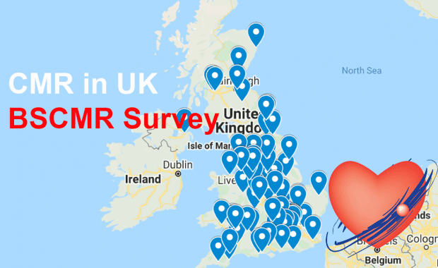 BSCMR Survey Results