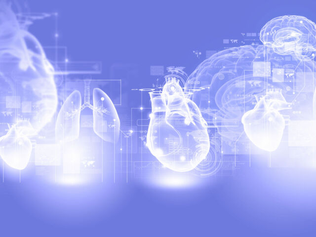 23346739 - digital image of human heart background or wallpaper